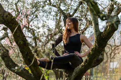 Dancer posing above a tree dressed in black Stock Photos