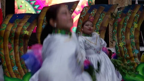 Dancers in costumes perform their practiced dance steps Stock Footage 335525775