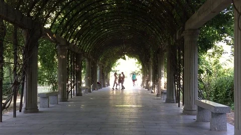 Dancers in shady path time lapse Stock Footage 82117717