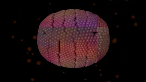 Dance,Text,4k,3d,abstract Stock Footage 165511310
