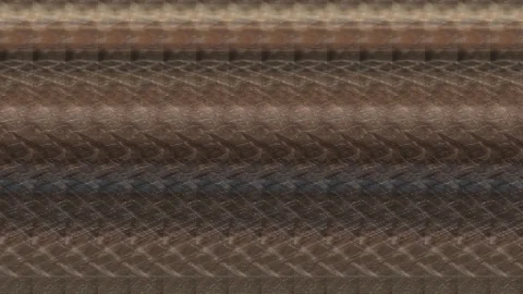 Dancing Abalone - Abalone wriggles as it is grilled in its shell. Stock Footage 86475592