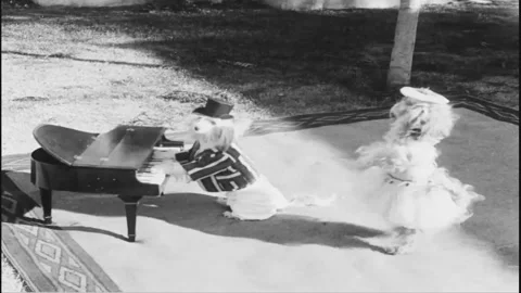 Dancing and Performing Dogs  in Costume Hollywood, CA January 19, 1931 Stock Footage 259410171