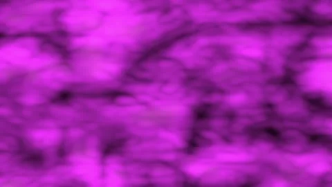 Dancing Blob Gradient Purple Color Water Smoke Ripple Loop Stock Footage 243256681