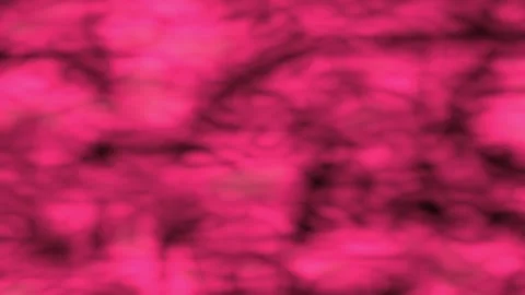 Dancing Blob Gradient Red Color Water Smoke Ripple Loop Stock Footage 243256682