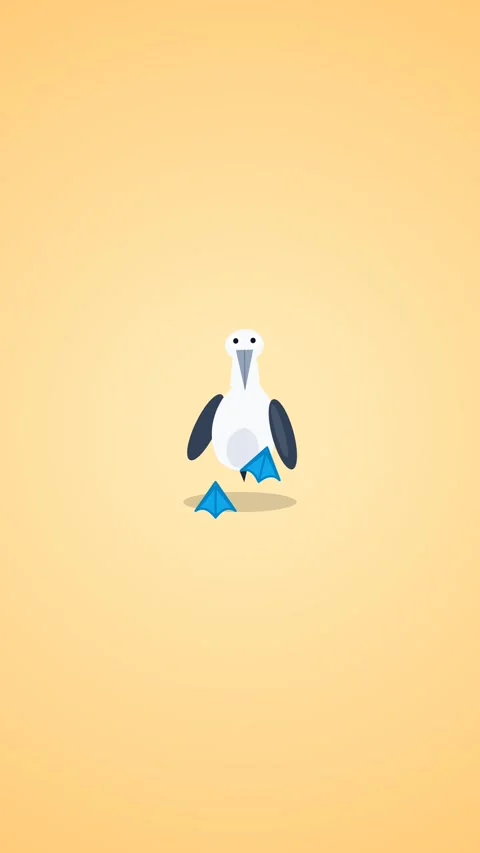 Dancing Blue Footed Booby Bird Loop Stock Footage 331783554