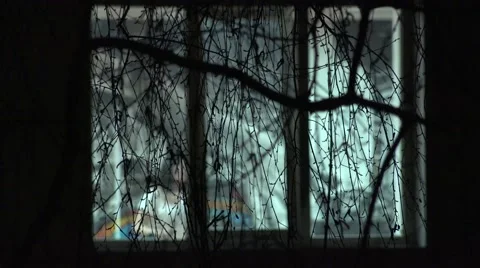 Dancing Blurred Silhouettes in Window through Branches of Tree. 4K UltraHD, UHD Stock Footage 48624657