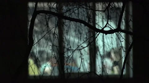 Dancing Blurred Silhouettes in Window through Branches of Tree. 4K UltraHD, UHD Stock Footage 48624678