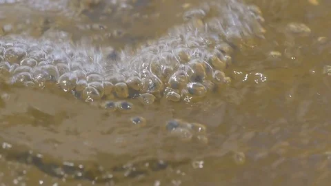 Dancing bubbles Video stock 72372448