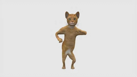 Dancing Cat - 3d render looped with alpha channel. Stock Footage 261021954