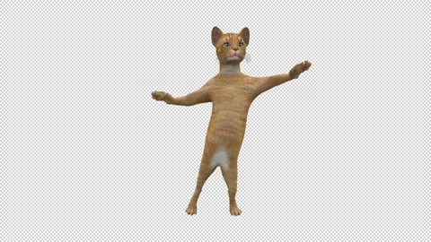 Dancing Cat - 3d render looped with alpha channel. Stock Footage 261022539