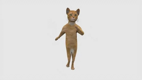 Dancing Cat - 3d render looped with alpha channel. Stock Footage 261022748