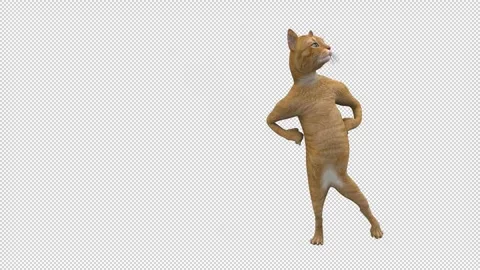 Dancing Cat - 3d render looped with alpha channel. Stock Footage 261160375