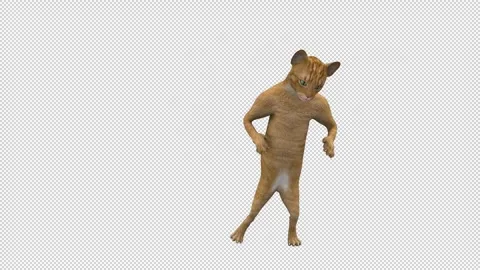 Dancing Cat - 3d render looped with alpha channel. Stock Footage 261161774