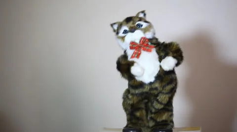 Dancing cat doll Stock Footage 43051208