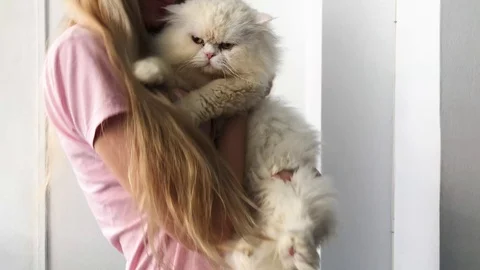 Dancing with cat Stock Footage 98795468