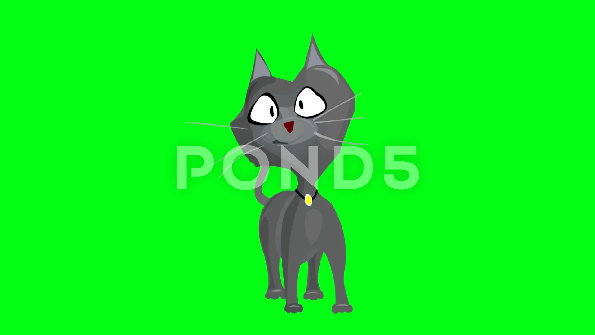 dancing cat on green background | Stock Video | Pond5