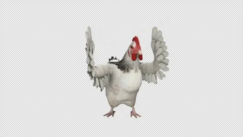 Dancing chicken - 3d render looped with alpha channel. Stock Footage 261382998