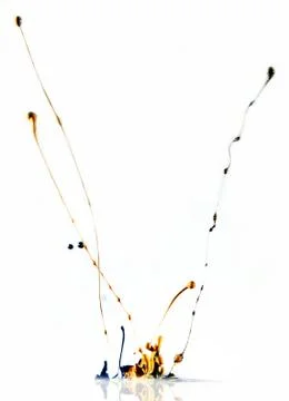 Dancing Colors - Wide Splash Stock Photos