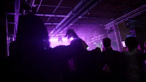 Dancing crowd of people raise hands up in air enjoying a concert Stock Footage 172020789