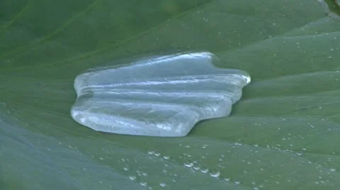 Dancing droplet Video stock 10899502