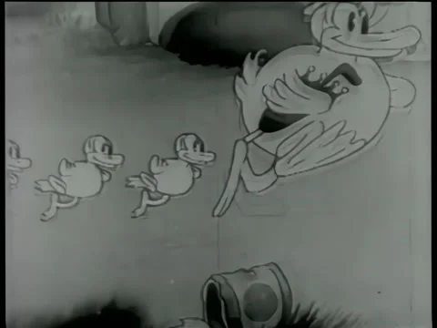 Dancing duck family Stock Footage 260247575