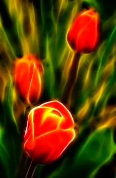 The dancing electric tulips Stock Photos