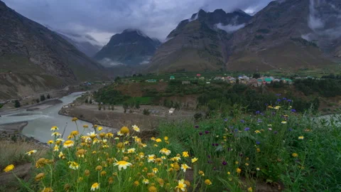 Dancing Elements, Yellow Flowers and Clouds in the Lahaul Mountain Tale Stock Footage 161759584