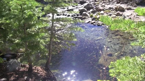 Dancing fairies Video stock 42464264