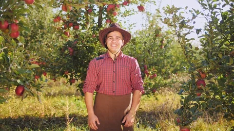 Dancing farmer showing thumbs to up in the apple garden Stock Footage 97408437
