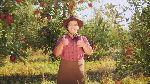Dancing farmer showing thumbs to up in the apple garden Stock Footage 97569979