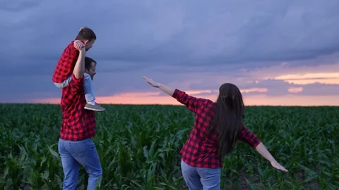 Dancing in the fields together, Bright plaid shirts at sunset, Family time Stock Footage 312724980