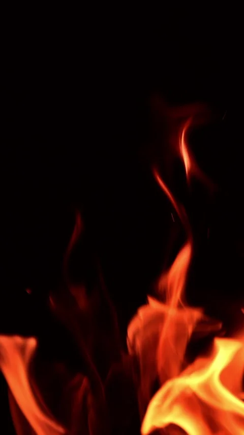 Dancing fire flames in total darkness. Stock Footage 308587099