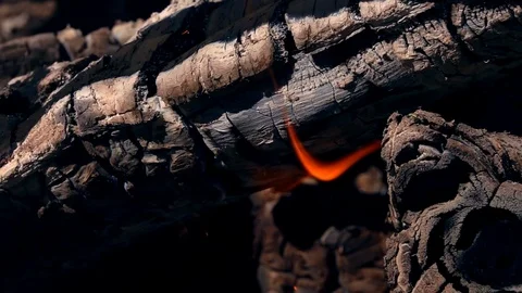 Dancing flame with flakes of fire on burnt firewoods against blur embers Stock Footage 98740567