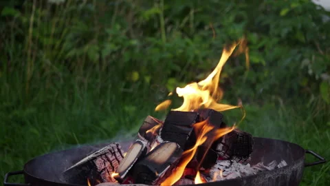 Dancing flames and crackling logs create warmth by the fire pit at the campsite Stock Footage 317951512