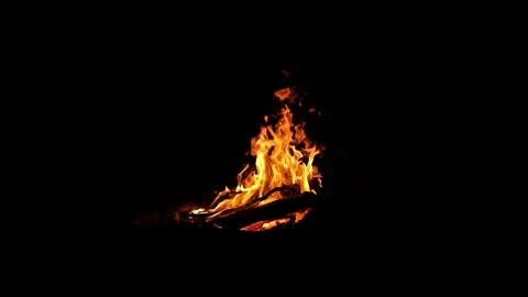 Dancing flames and glowing embers of a nighttime campfire. 库存影片 344159917