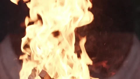 Dancing Flames Engulf Stacked Logs in a Rustic Fire Pit Stock Footage 310787646