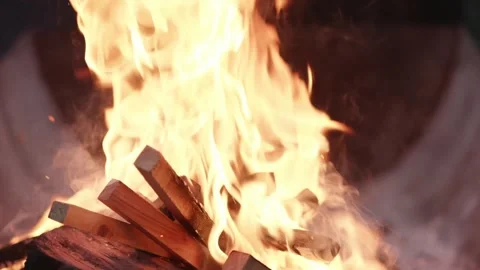 Dancing Flames Engulf Stacked Logs in a Rustic Fire Pit Stock Footage 310787650