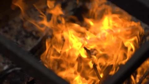 Dancing flames illuminate the night around a cozy campfire gathering Stock Footage 309894022