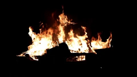 Dancing Flames in the Night Stock Footage 277036600