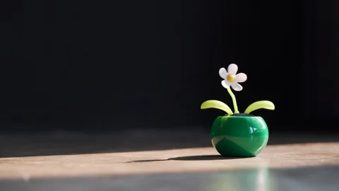 Dancing flower or swing moving sunflower Stock Footage 128789626