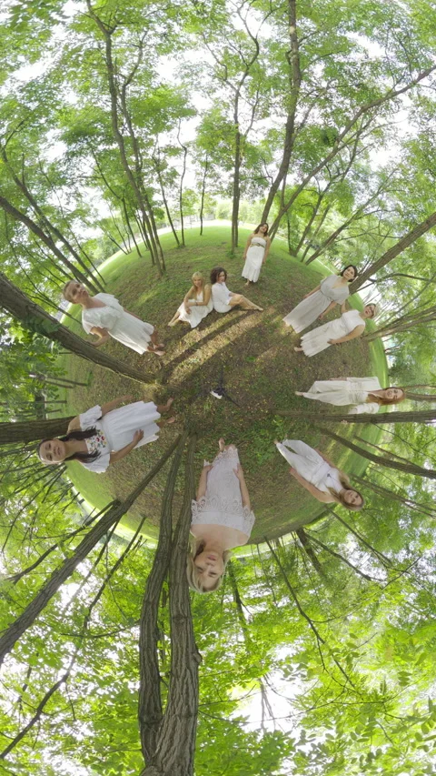 Dancing in the Forest A Unique Perspective on Nature and Movement Video stock 286241323