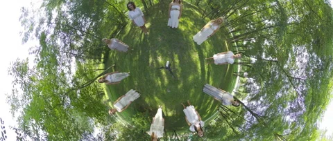 Dancing in the Forest A Unique Perspective on Nature and Movement Stock Footage 288234235