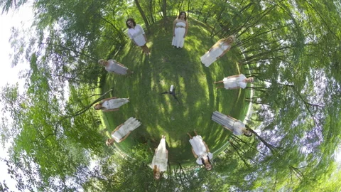 Dancing in the Forest A Unique Perspective on Nature and Movement Stock Footage 288661312