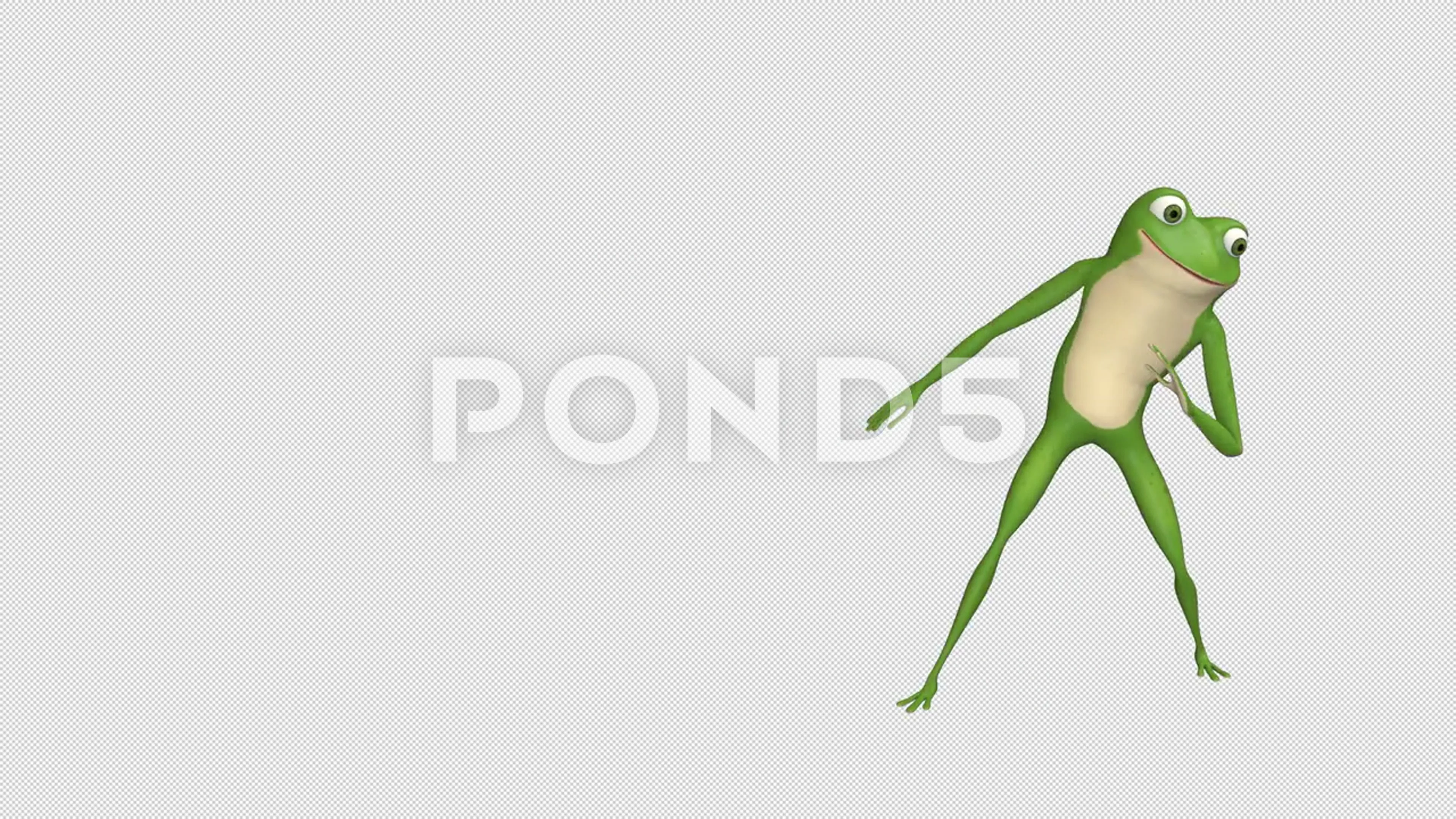 dancing frog gif