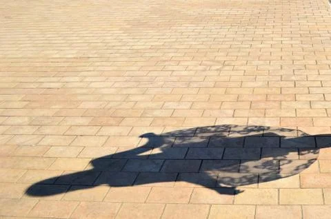 Dancing girl shadow on the bricks Stock Photos