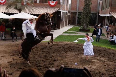 Dancing with Horses Stock Photos