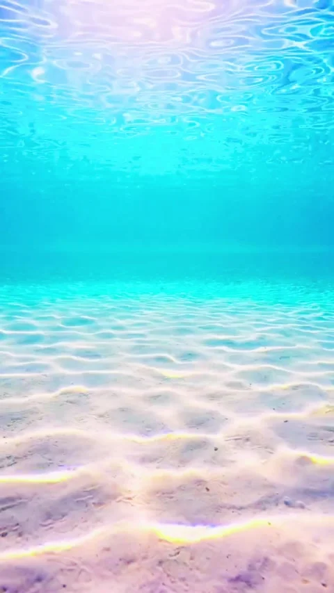 Dancing Light Patterns on the Sandy Floor of a Tropical Sea Stock Footage 336903704