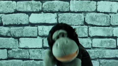 The dancing monkey Stock Footage 76238933