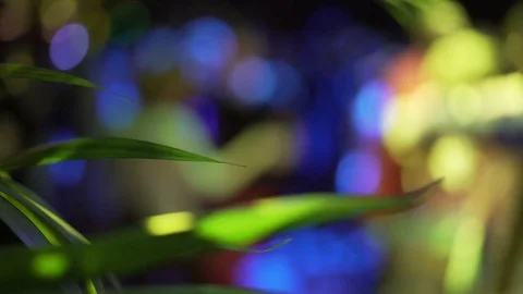Dancing people - blur background with green leaves Stock Footage 75312579