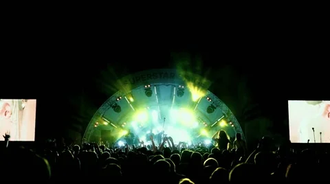 Dancing people at the concert. Stock Footage 58539715